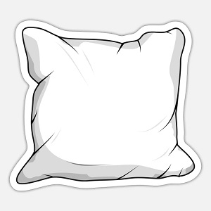 Pillows Covers